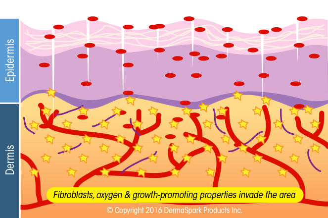 2-healing-cascade